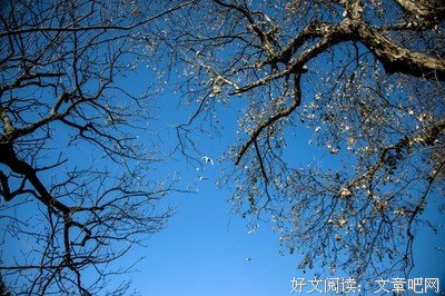 大地·感怀丨王剑冰：官渡怀古