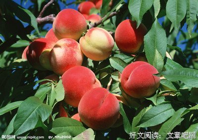夏雪的名言_关于夏雪的名言