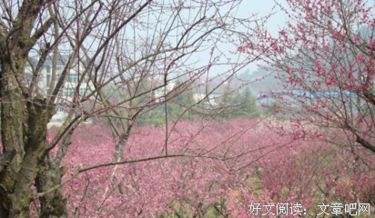 描写何求的经典句子