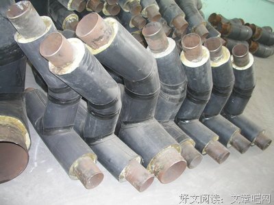 小鸟同志