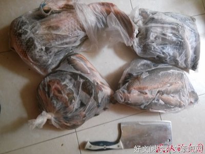 《大物》观后感精选10篇