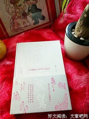 雪隐鹭鸶读后感10篇