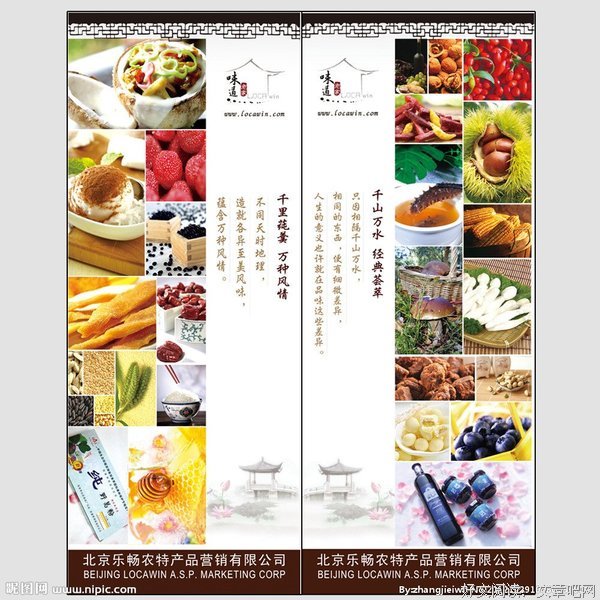 《奶奶的菜——想念老家的味道》读后感10篇
