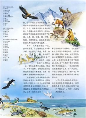 《欧洲早该这么玩》读后感10篇