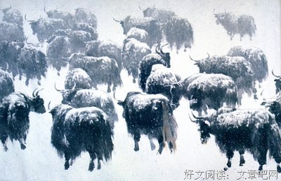 散文连苑丨∮ 坐观垂钓者