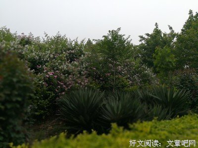 身体是心灵的一面镜子