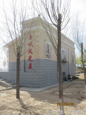 明湖花开
