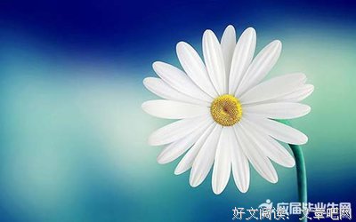 宁缺毋滥格言警句