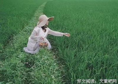 我没有原谅你，只是放过了自己