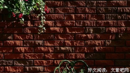 《只是不想辜负了相遇》小说句子大全