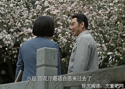 于海棠 | 西木栅的蔷薇