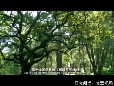 《进化简史》影评10篇
