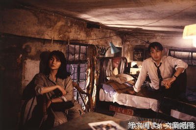 荐影|《阿飞正传》：本是无脚鸟，深情皆枉然