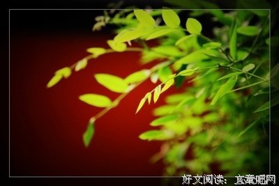 你有权以自己的方式长大读后感10篇