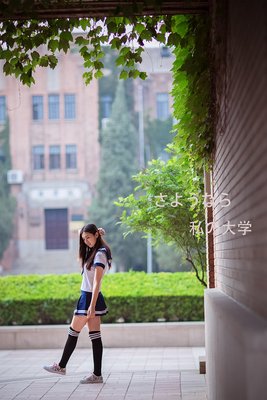 再见了，我的大学