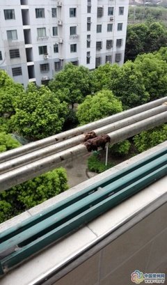 有一种痛，叫爱过