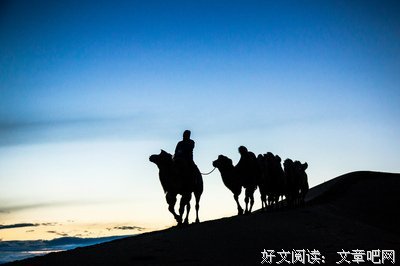 风子 | 一个一意孤行的流浪者…