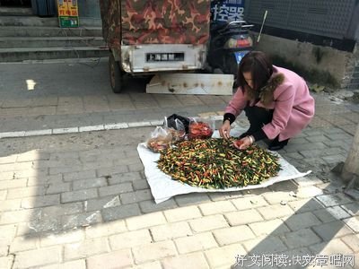 嘴上说着辞职，身体却很诚实