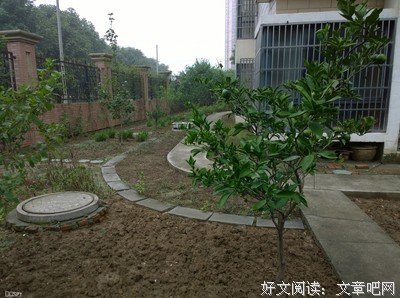 2017桔子树精彩语录