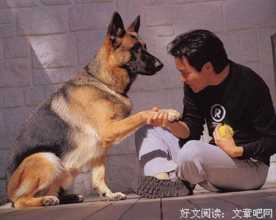 《追寻生命的意义》经典语句