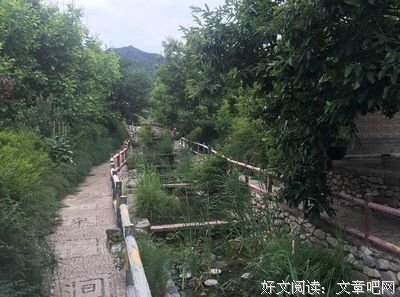 抖音高赞：“可能我撞了南墙，才会回头吧”