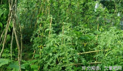 最全的《生死忧患》经典语句
