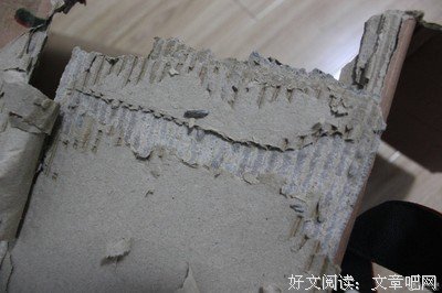 2017黑心苹果名言大全
