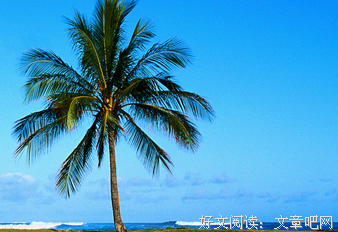 最经典的十二名言大全