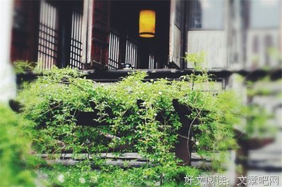 15条关于删繁就简的经典语句