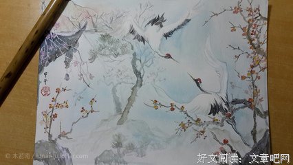 最新的《鹤唳华亭》经典句子大全