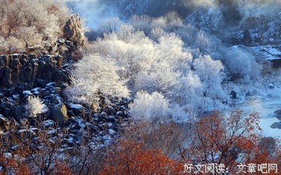 最经典的《第三种爱情》名句欣赏