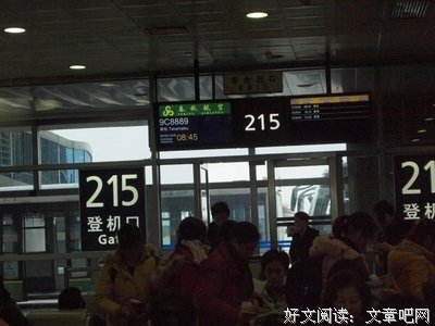 《第八日的蝉》观后感10篇