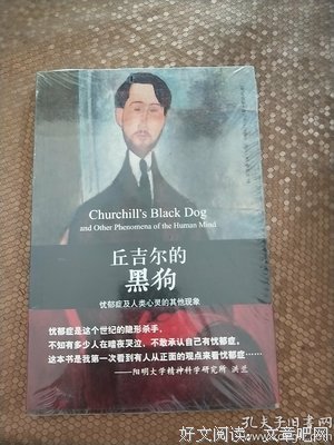 丘吉尔的黑狗经典读后感10篇
