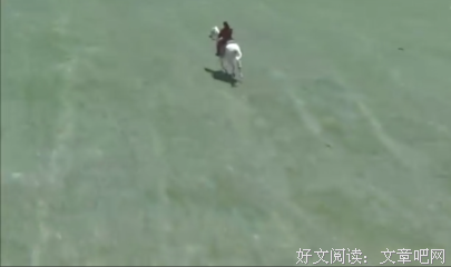 《雷樱》经典影评10篇