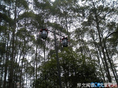 玉台碧读后感10篇