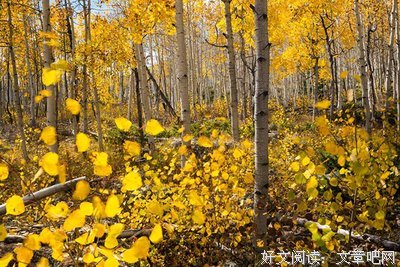 15条关于潘多的经典语句