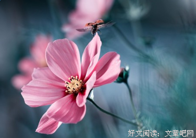 字字珠玑的名句_关于字字珠玑的名句