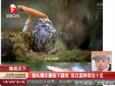 那个一边睡着现任，一边想着前任的男人