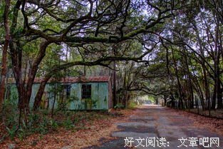 艾斯格言警句