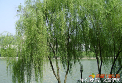 描写奥格·曼的语句摘抄