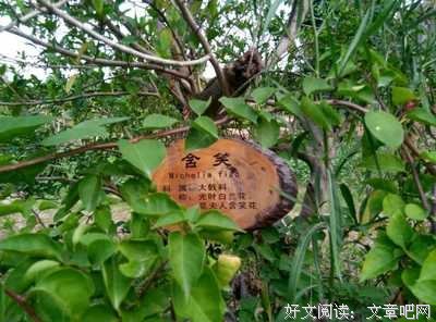 哪种男人，女人再爱也要离开？