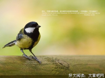 【讲章】不要忧虑！