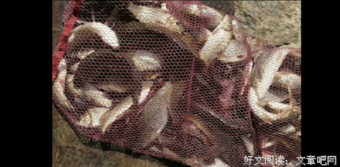 关于风和日丽的语句