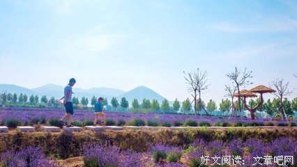 你知道莒县怎么念吗？｜小地方