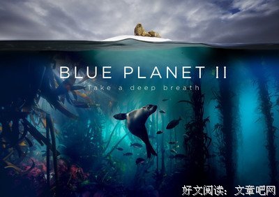 豆瓣9.0，这部0宣传、低成本的小众纪录片吊打《舌尖3》，这才是中