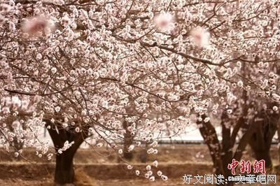 复旦女教授陈果：我自风情万种，与世无争!