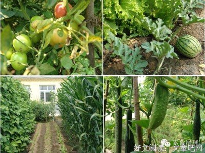 灵性 是创作的动力