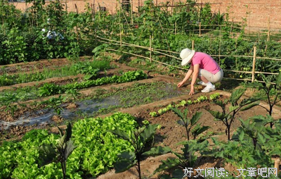 你真的愿意吗？