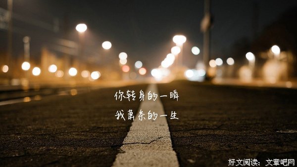 关于以毒攻毒的唯美语录