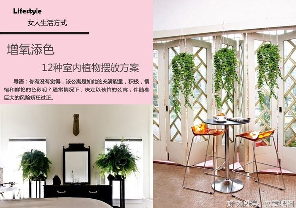 史上最全绿植摆放技巧（女人必看！！！）